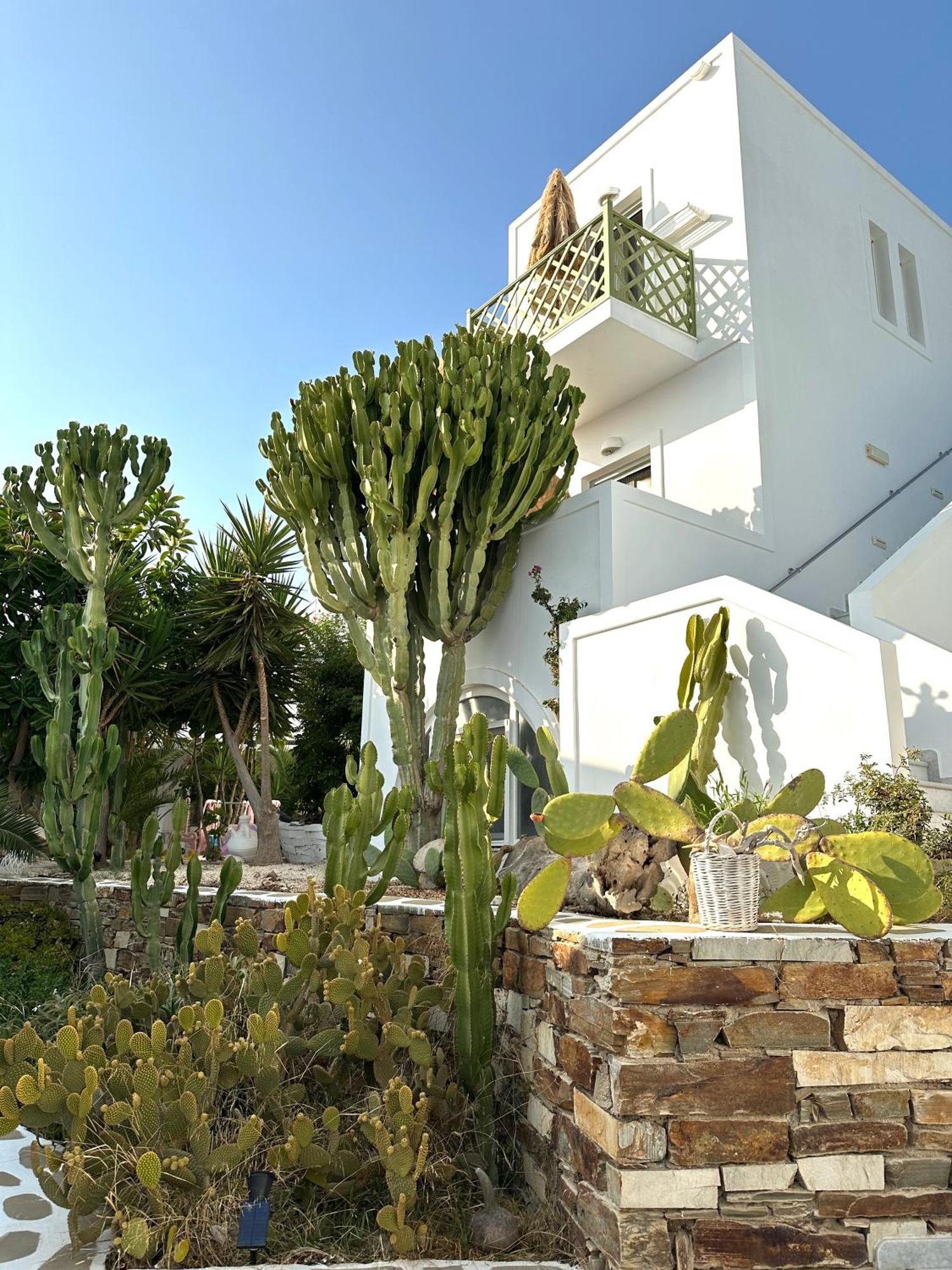 Artemis Hotel Antiparos Buitenkant foto