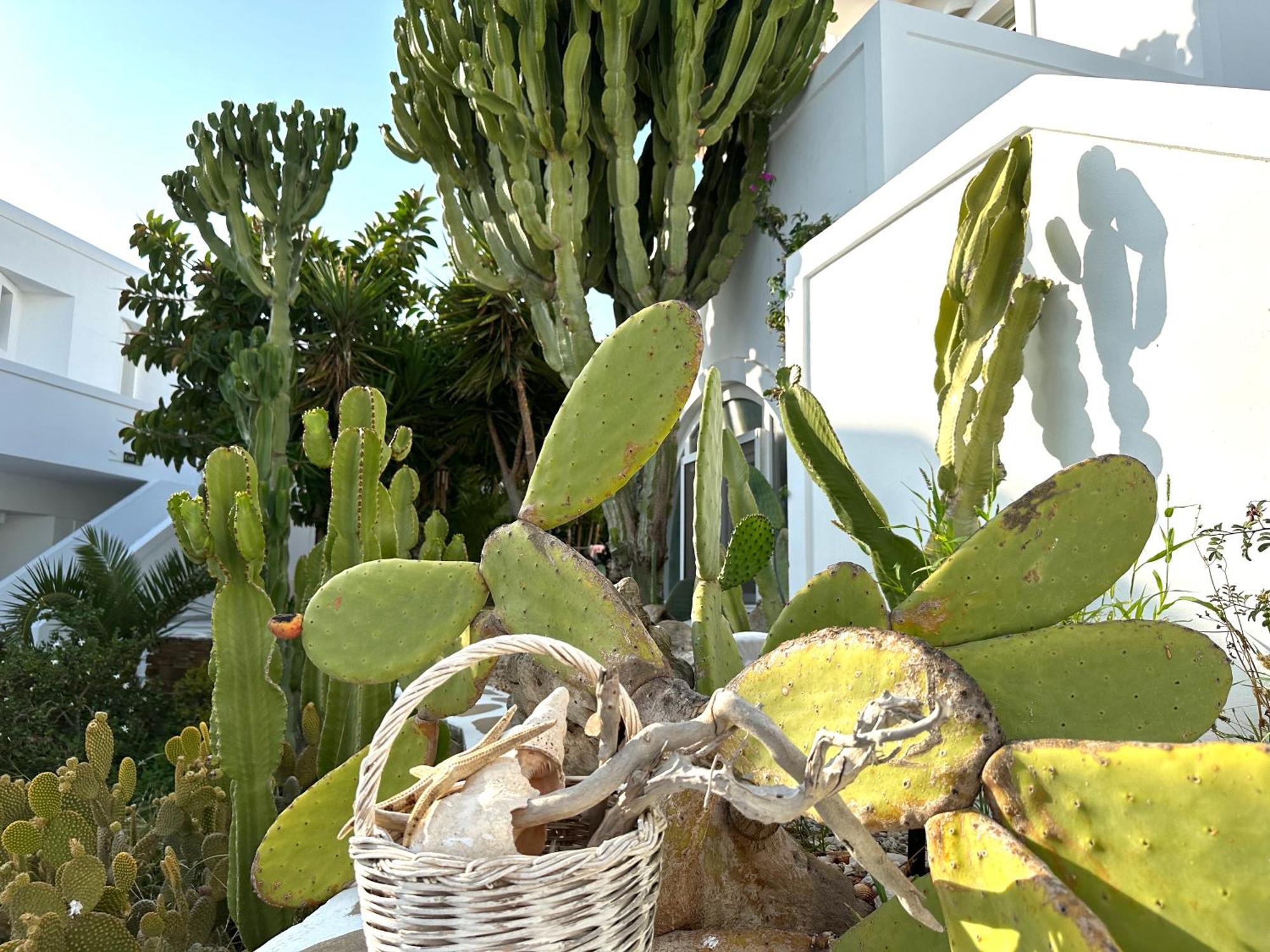 Artemis Hotel Antiparos Buitenkant foto