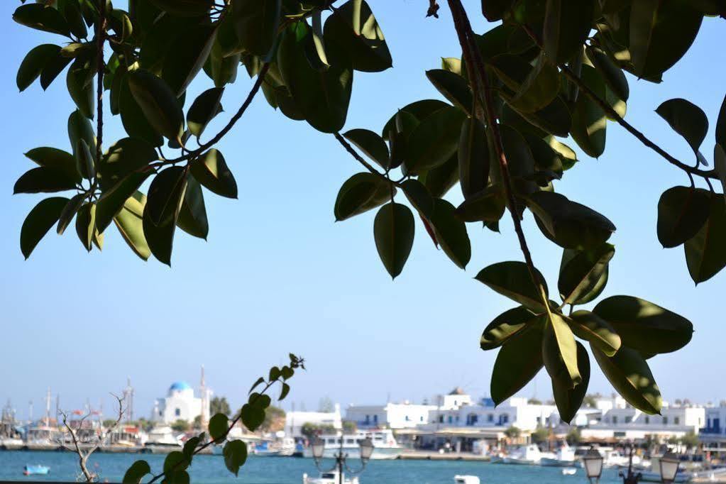 Artemis Hotel Antiparos Buitenkant foto