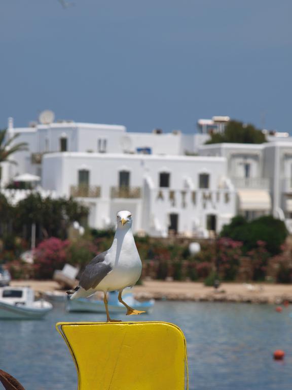 Artemis Hotel Antiparos Buitenkant foto